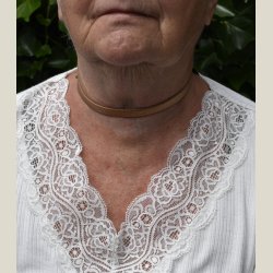 Halsbnd i broncefarvet lder, nyt