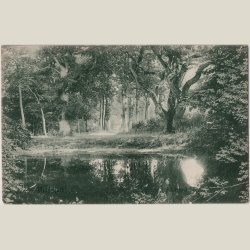 Middelfart, skovsen i Hindsgavl skov ca. 1908.