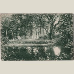 Middelfart, skovs�en i Hindsgavl skov ca. 1908.