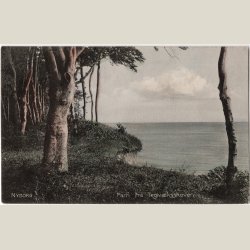 Nyborg, fra Teglvrksskoven 1907.