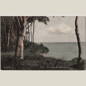 Nyborg, fra Teglv�rksskoven 1907.