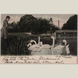 Odense, Munke mose 1907.