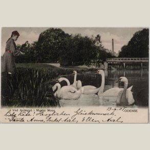 Odense, Munke mose 1907.