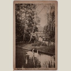 Aarhus, fra Botanisk have mod Borgmestergaarden 1919.