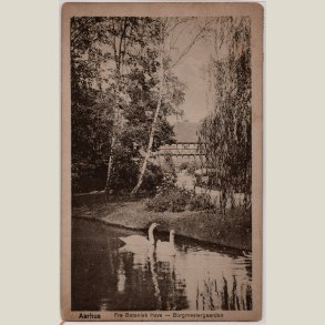 Aarhus, fra Botanisk have mod Borgmestergaarden 1919.