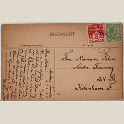 Aarhus, fra Botanisk have mod Borgmestergaarden 1919.