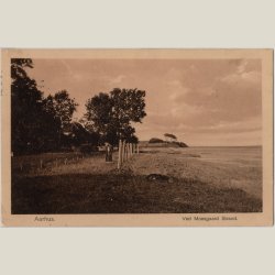 Aarhus, ved Moesgaard strand ca. 1910.