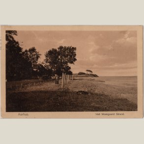 Aarhus, ved Moesgaard strand ca. 1910.