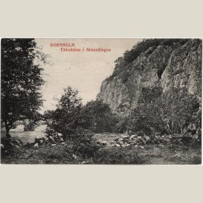 Bornholm, Ekkodalen i Almindingen. Stp. R�nne 1910,