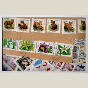 Kilovare, Sverige. 500g. mest store m�rker.