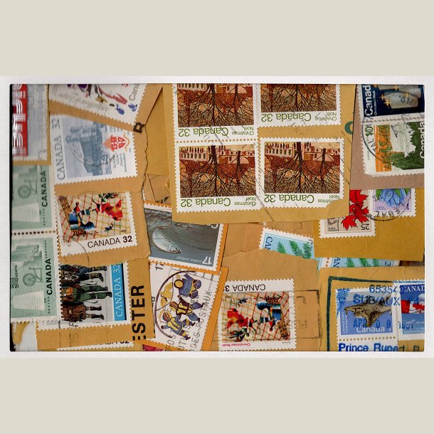 Kilovare Canada, 250g. brevvare