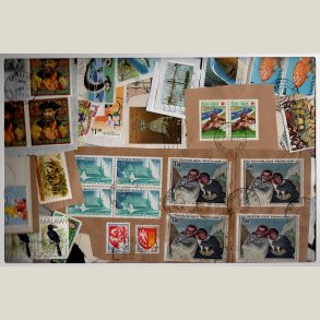 Kilovare. Hele verden 1kg. med mest Europa.