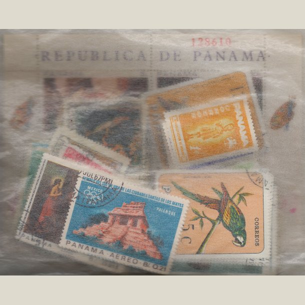 Pakke Panama med 100 forskellige